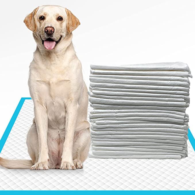 Pups&Pets Dog Training Pee and Potty Pads with Quick Drying Surface and Absorbent Core Suitable for