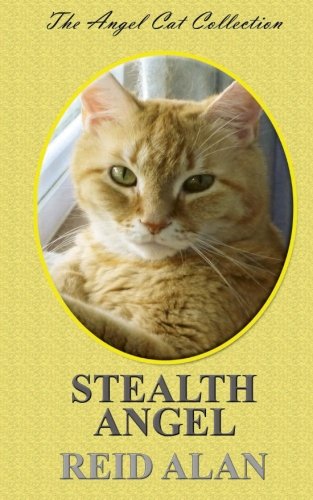 Stealth Angel (Angel Cats)