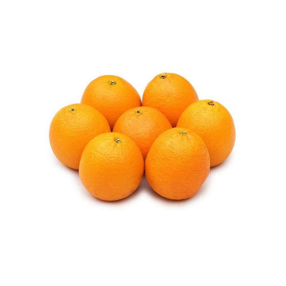 Orange Cambria South Africa, Vitamin C, Rich & Pleasant Flavor, Fresh & Juicy, Tasty & Nutritious, Healthy & Sweet Juicy Texture, Premium Quality, Cleaned & Sanitized before dispatch - 1 kg