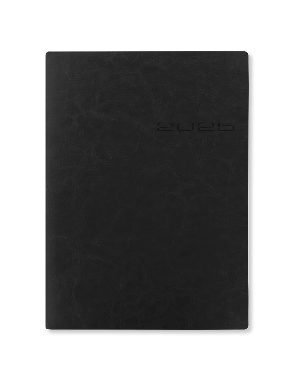 Letts of London Lecassa A5 day to page with appointments 2025 diary - black