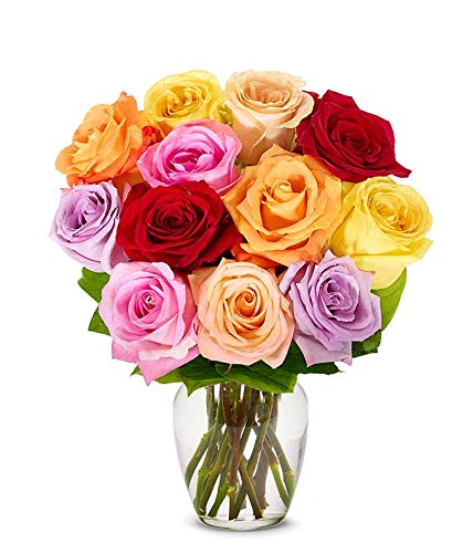 From You Flowers - One Dozen Rainbow Roses with Glass Vase (Fresh Flower Bouquets) Birthday, Anniversary, Get Well, Sympathy, Congratulations, Thank You