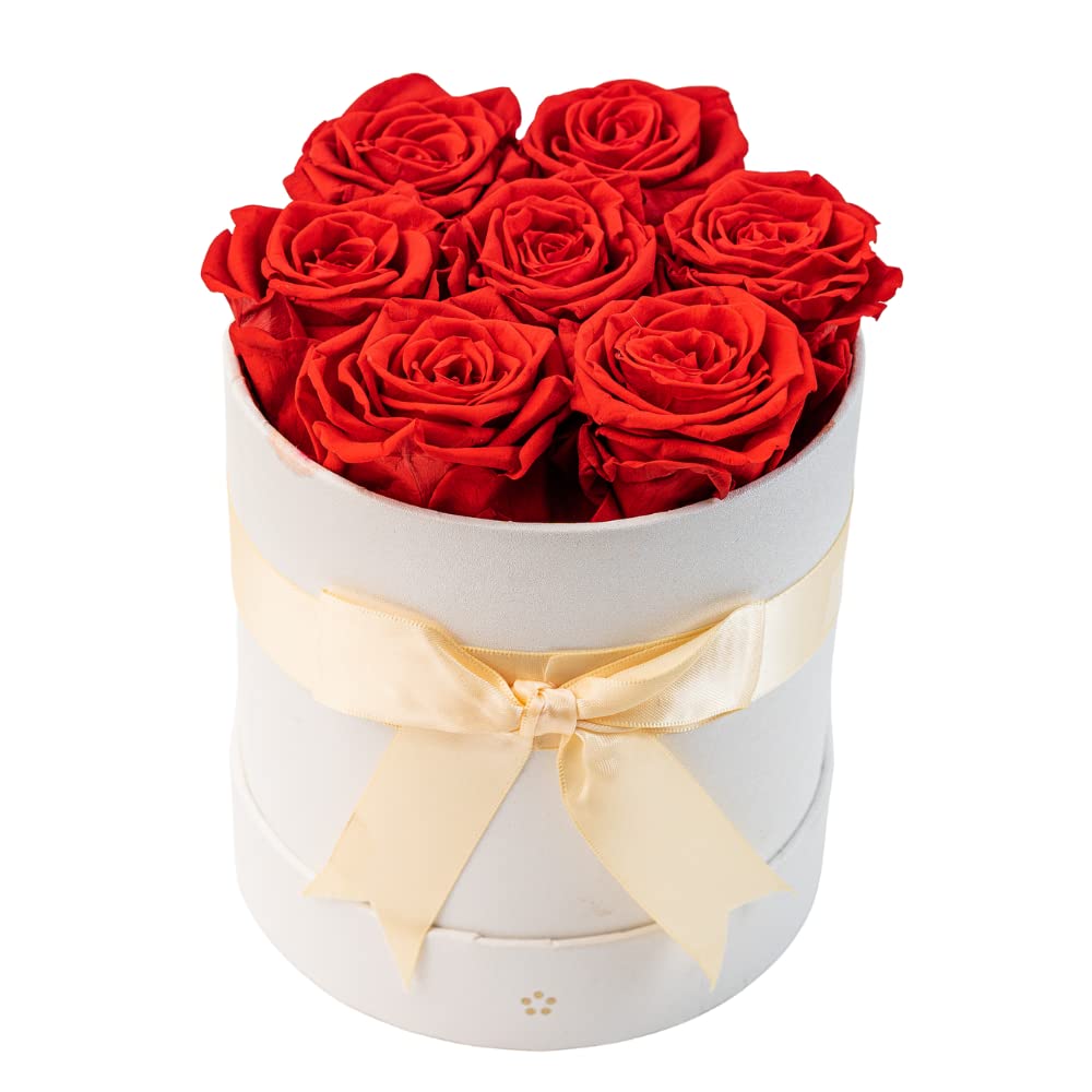 AROMEO 7 Red Roses for Delivery Prime Valentines Day | Fresh Flowers for Delivery Prime Tomorrow or Next Day | Roses for Her, Mom, Mother, Girlfriend, Wife, Anniversary, Birthday, Valentines, Christmas | Fresh Cut (Red)