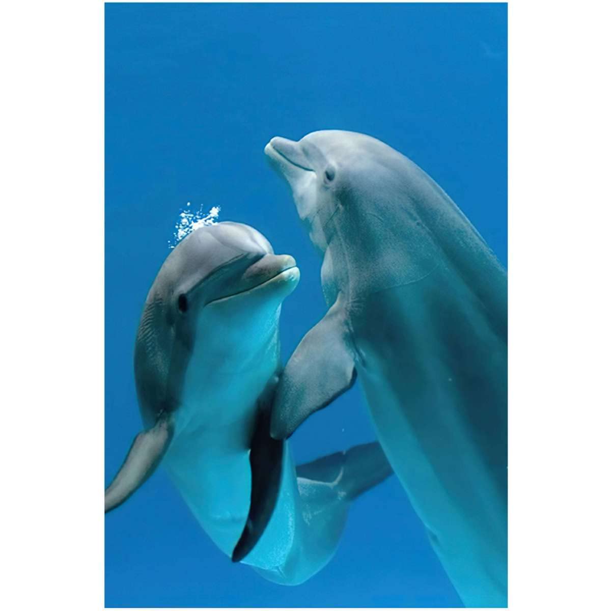 Canvas Wall Art Dolphins Pair Dancing Underwater Unframe Oil Paintings On Canvas Wall Art Abstract Art Canvas Paintings Picture Wall Art Modern Wall Decor for Bedroom Living Room Home Wall 12x18inch