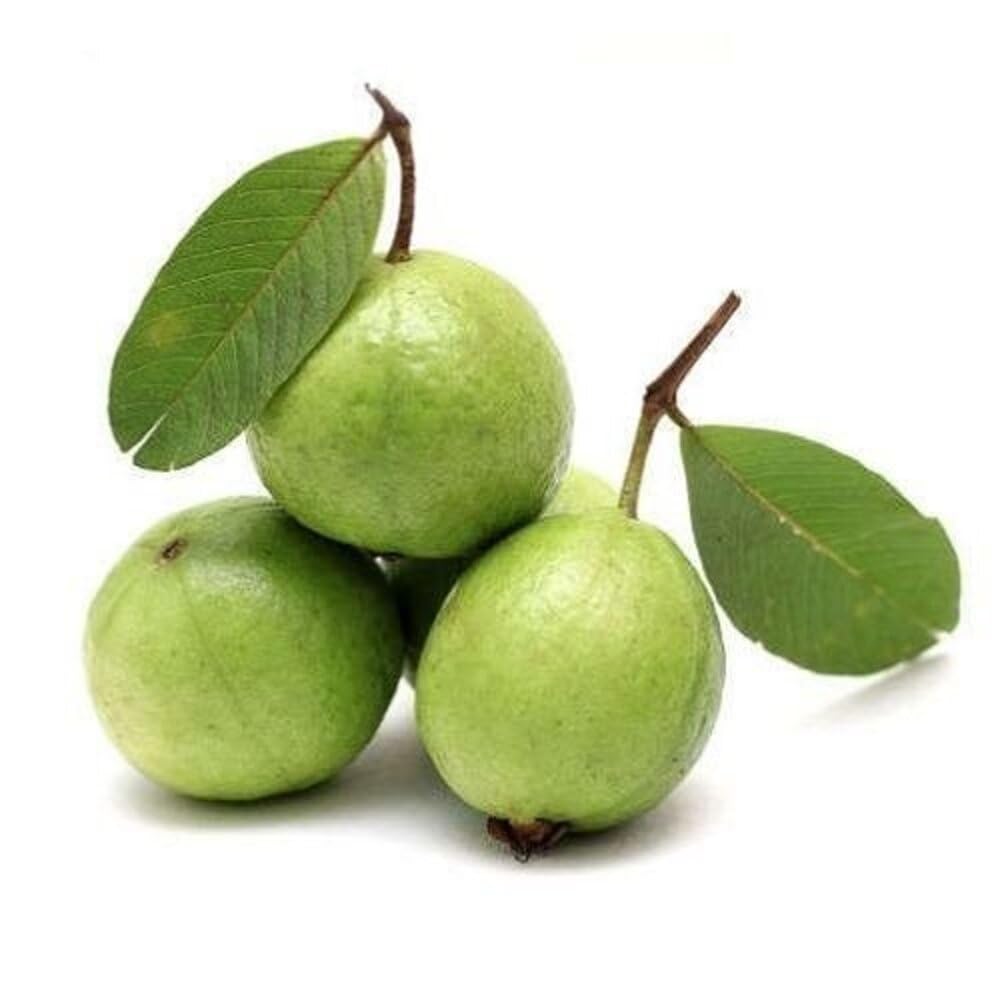 Fresh Guava (Amrudh) 500g