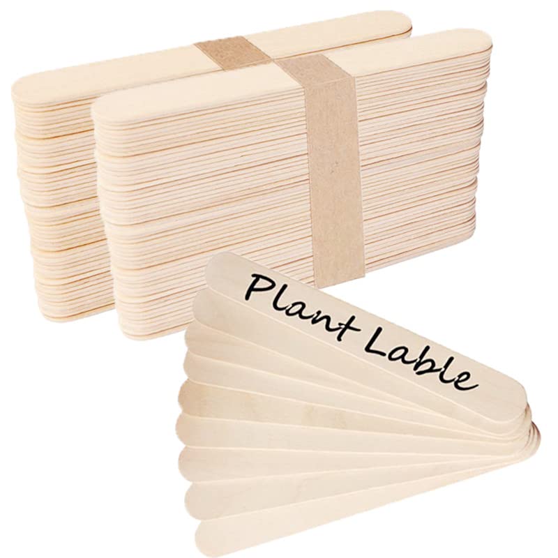 KKSTY 100Pcs Wooden Popsicle Craft Sticks /Wooden Plant Labels, Natural Wooden Sticks for DIY Handcrafts,Multipurpose (15x1.6cm)