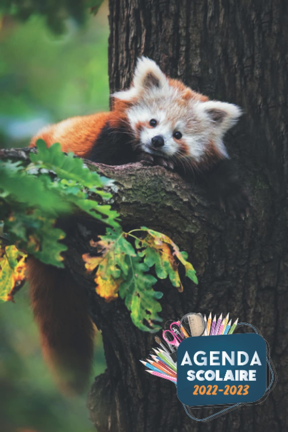 Agenda 2022 2023 panda roux: Idéal pour étudiant pour la rentrée scolaire réussie (cp - ce1 - ce2 - cm1 - cm2) 1 Jour Par Page | Organisateur et ... au dos couverture (French Edition)