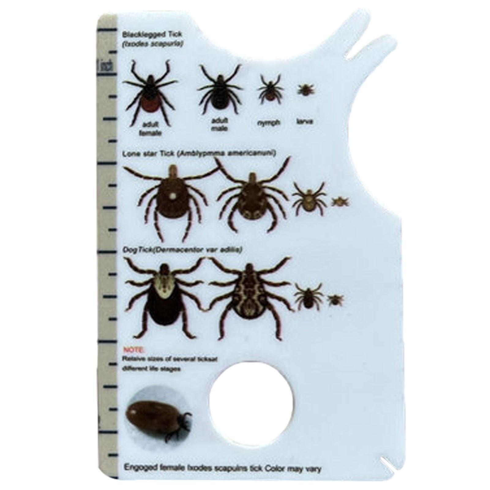 Generisch Tick Card for Humans, Tick Card for Humans, with Magnifying Glass, Allows Easy Removal of Ticks, Tick Remover for Dogs and Cats in Practical Pocket Size, 8.5 x 5.4 x 0.1 cm