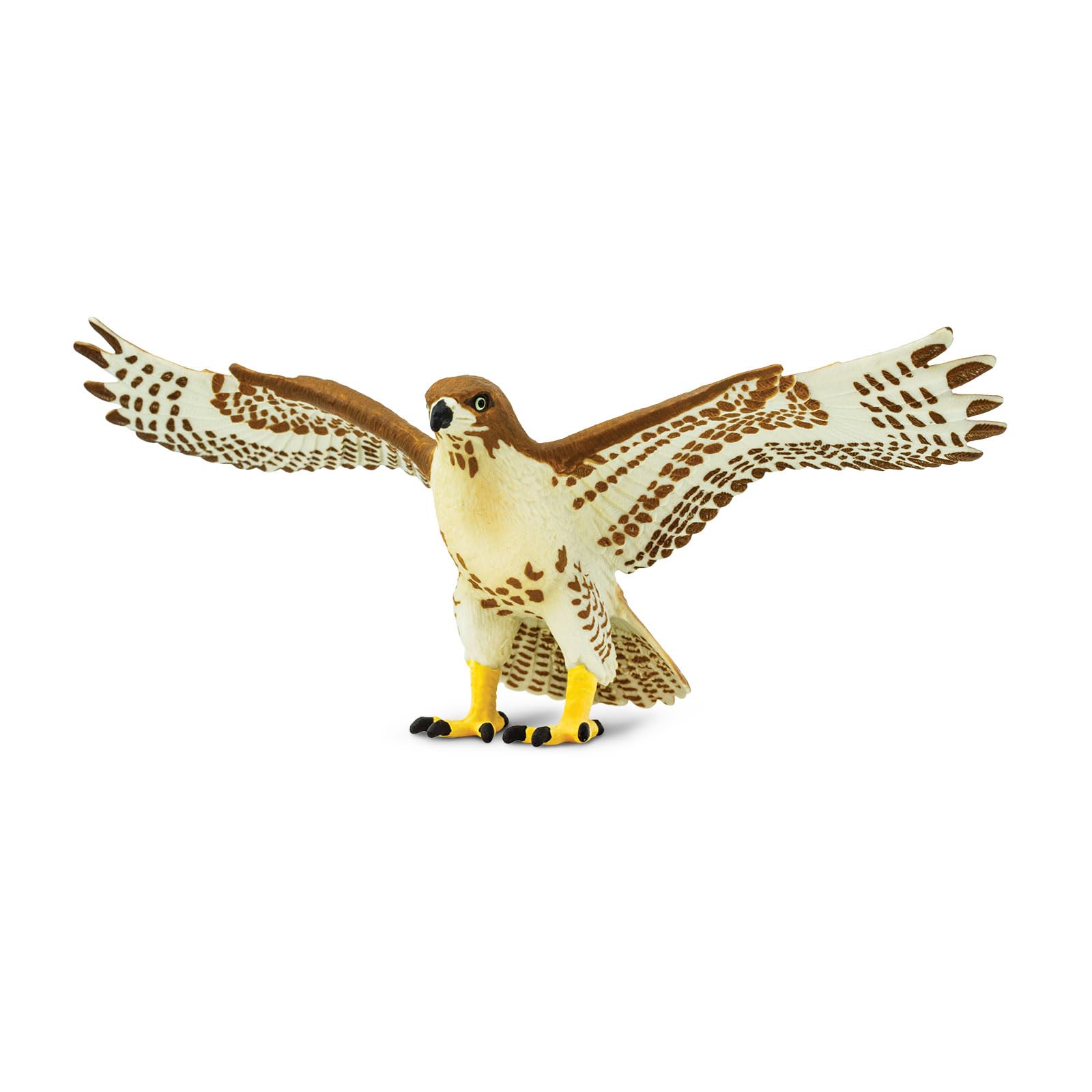 Safari Ltd Red Tailed Hawk