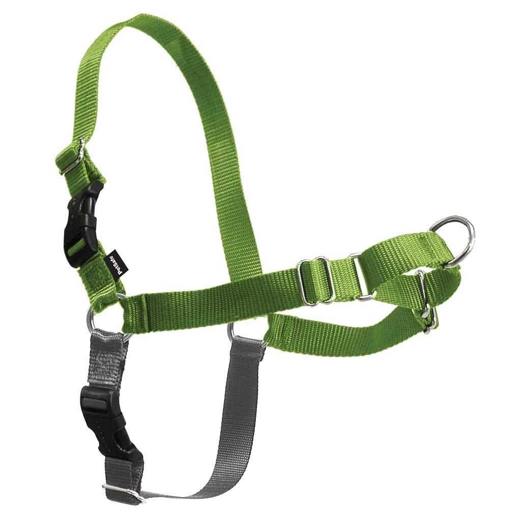 PetSafe Easy Walk Harness, Large, APPLE GREEN/GREY for Dogs