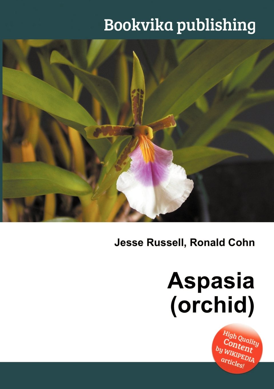 Aspasia (Orchid)