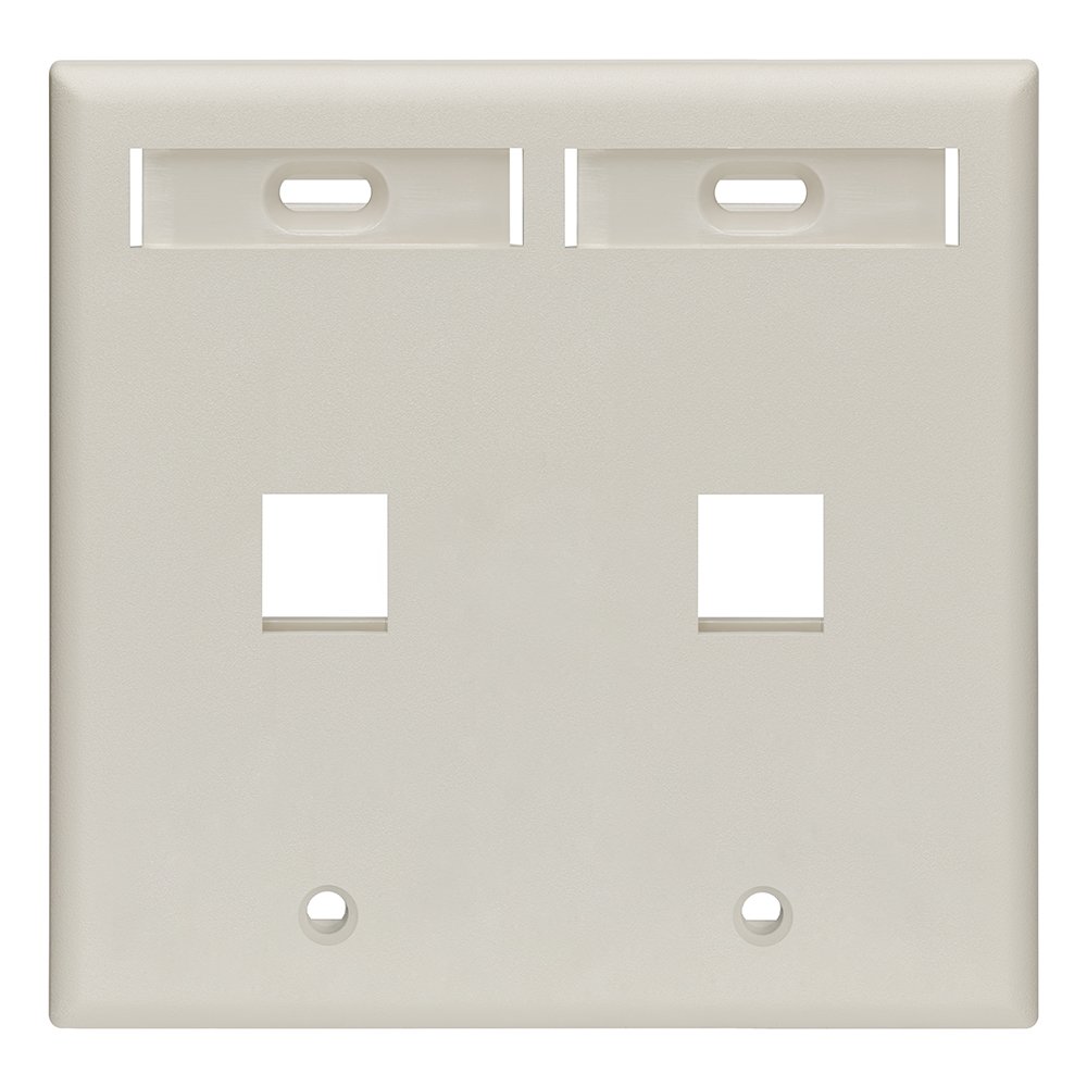 Leviton 42080-2TP 2-Port Dual Gang QuickPort Wallplate with ID Windows, Light Almond