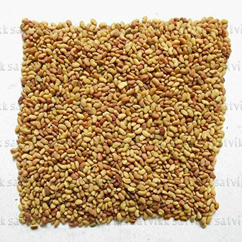 syed garden Alfalfa Medicago sativa/Lucerne seeds (Pack of 5 kg)