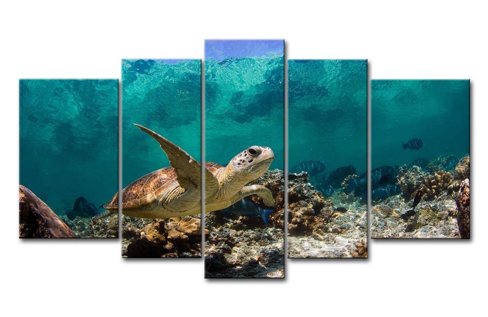 Blue 5 Panel Wall Art Painting Underwater Turtle Prints On Canvas The Picture Animal Pictures Oil for Home Modern Decoration Print Decor