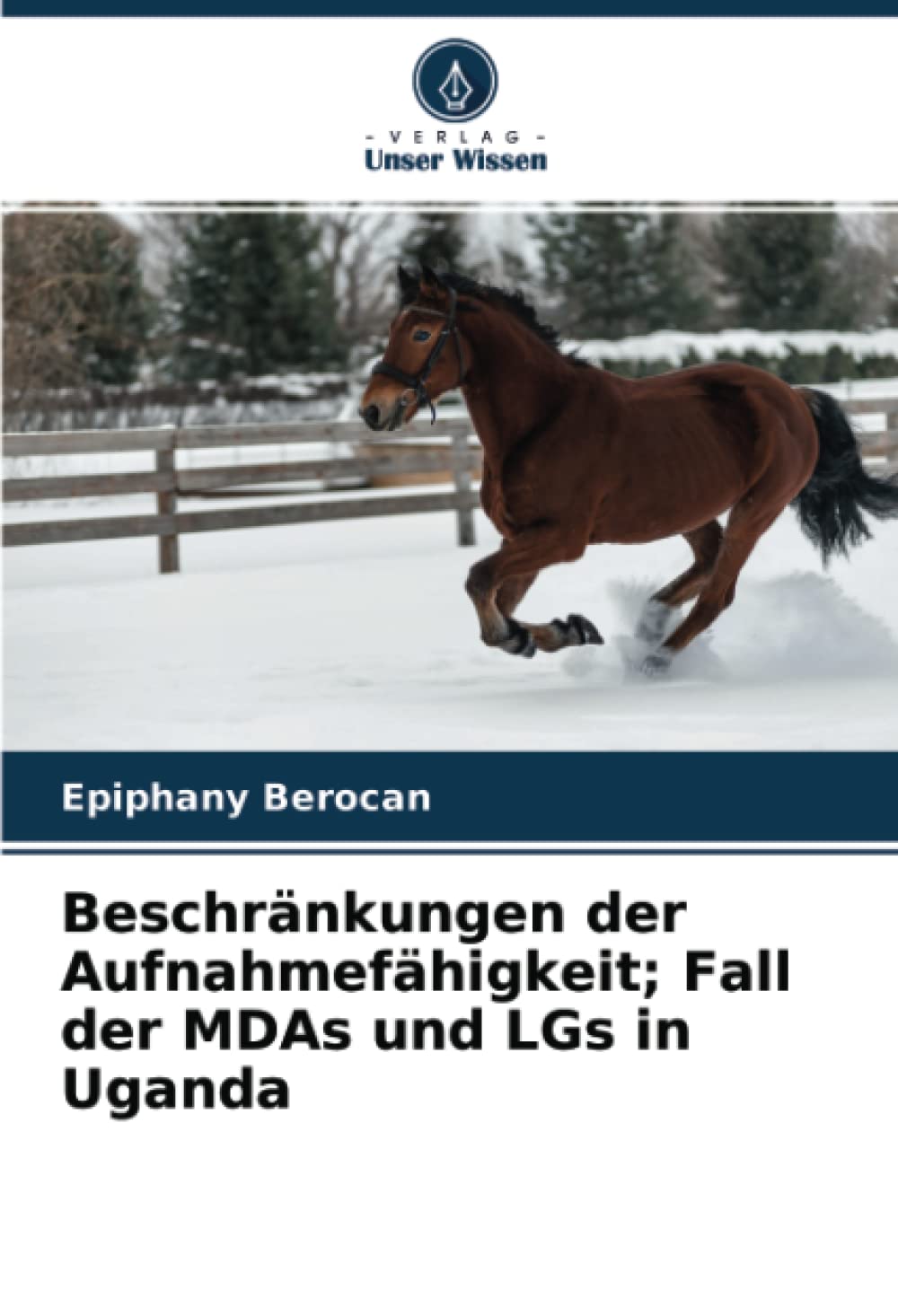 Beschränkungen der Aufnahmefähigkeit; Fall der MDAs und LGs in Uganda