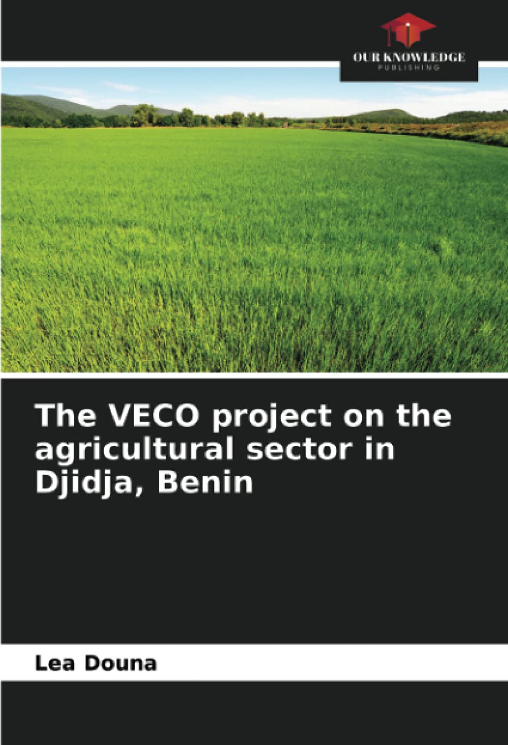 The VECO project on the agricultural sector in Djidja, Benin