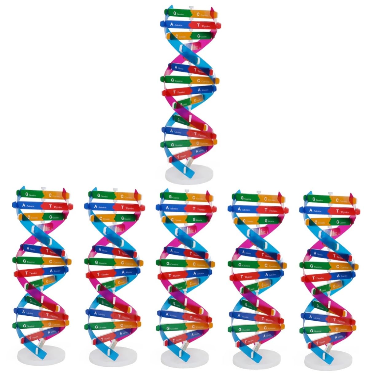 Toyvian 6pcs Bioscience Biological School Toys Assembly Scientific Components Rotatable Aid Dna Classroom Kit Human Double Toy Structure Model- Adults Assembling Display Children Toys/