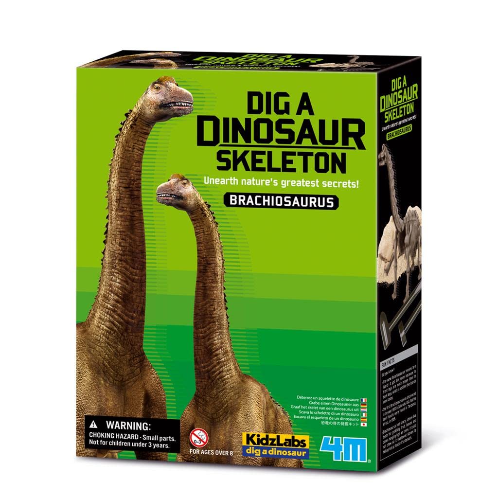 4MFun Science Kidz Labs / Brachiosaurus Skeleton Excavation Educational Toys , 5603237