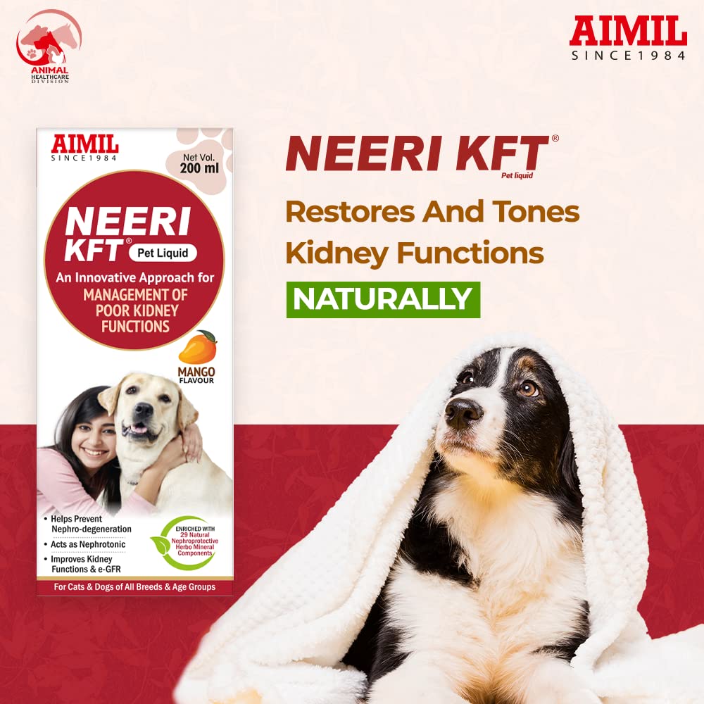 AIMIL Neeri KFT Pet Liquid