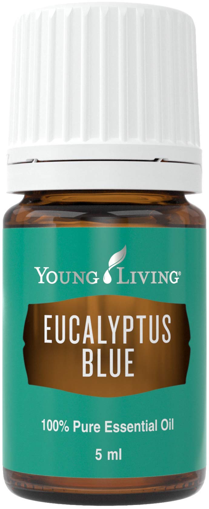 Young LivingEucalyptus Blue Premium Essential Oil Diffuser - 100% Pure, Cool & Refreshing Scent - Aromatherapy for Relaxation and Muscle Relief - 5ml Bottle