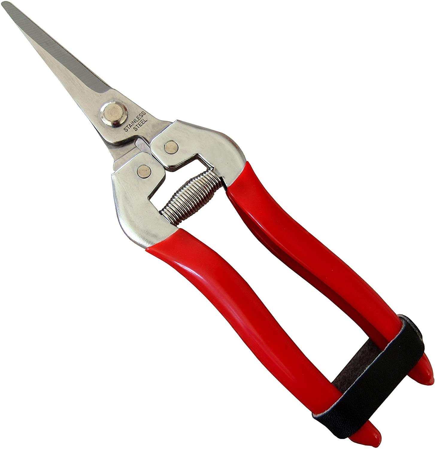 HYLAN Pruning Shears, Florist Scissors, Multi-Tasking Garden Snips for Arranging Flowers, Trimming Plants and Harvesting Herbs, Fruits or Vegetables. (Straight, Stainless Steel Blades)