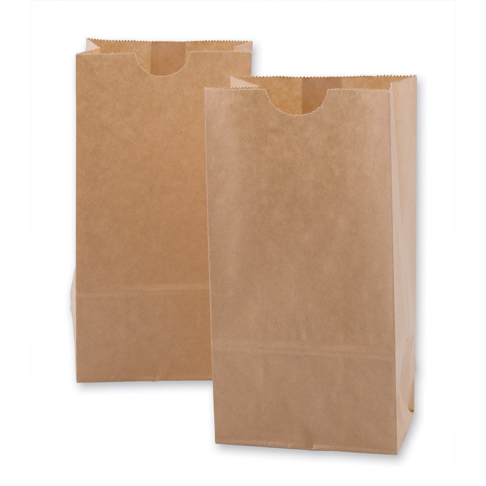 PAVILIAMini Kraft Paper Bags 100 per pack