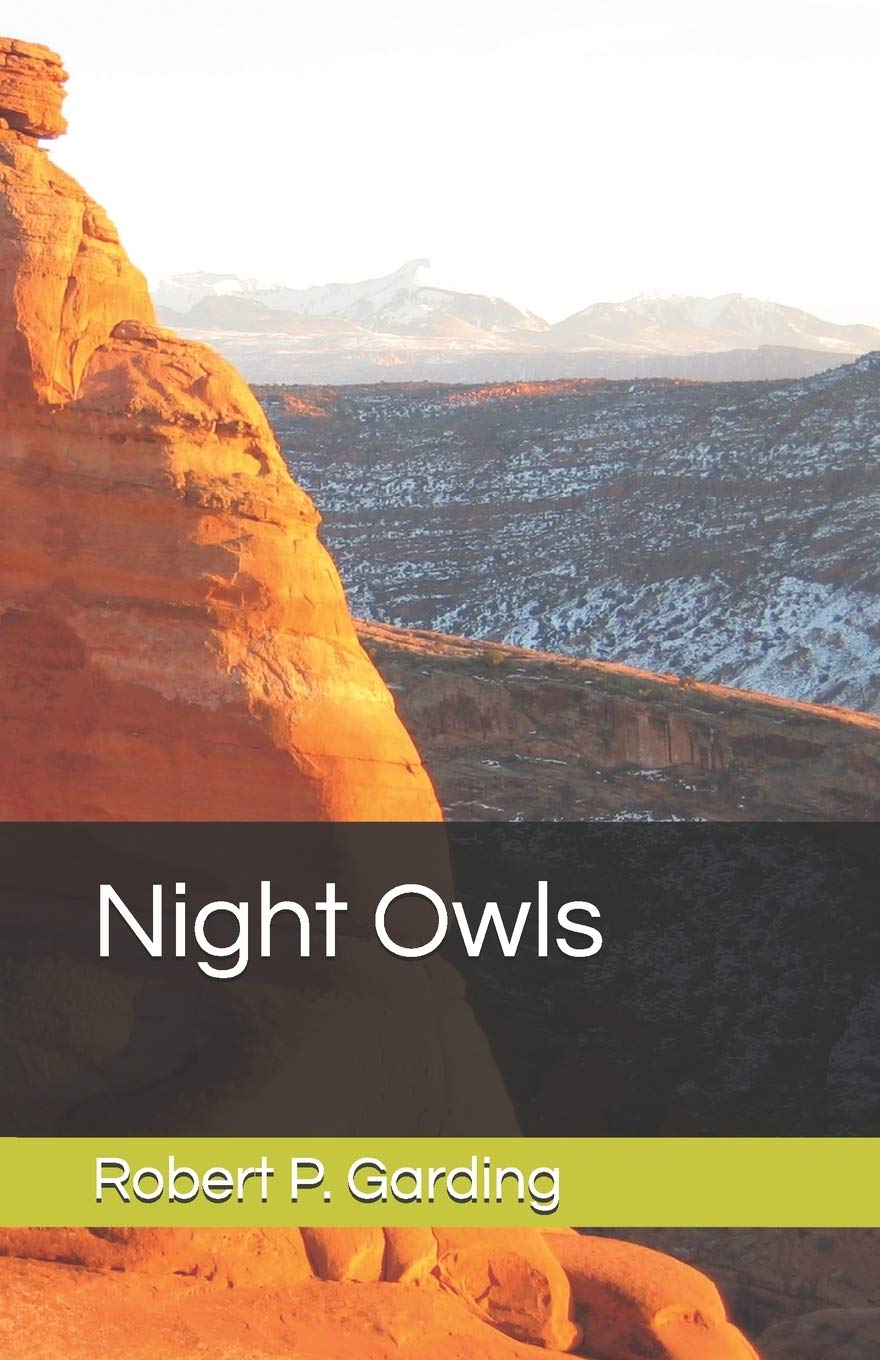 Night Owls: 1 (Matt Joseph Mysteries)