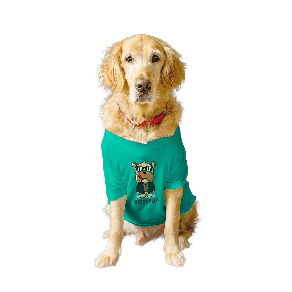 RuseRuse Basic Summer Dog T-Shirt BOSSPUP Printed Pets Crew Neck Half Sleeves Shirt/Apparel/Clothes/Tees Gift for Dogs(Aqua Green) /Large (Full Grown Desi/Stray, Doberman etc.)