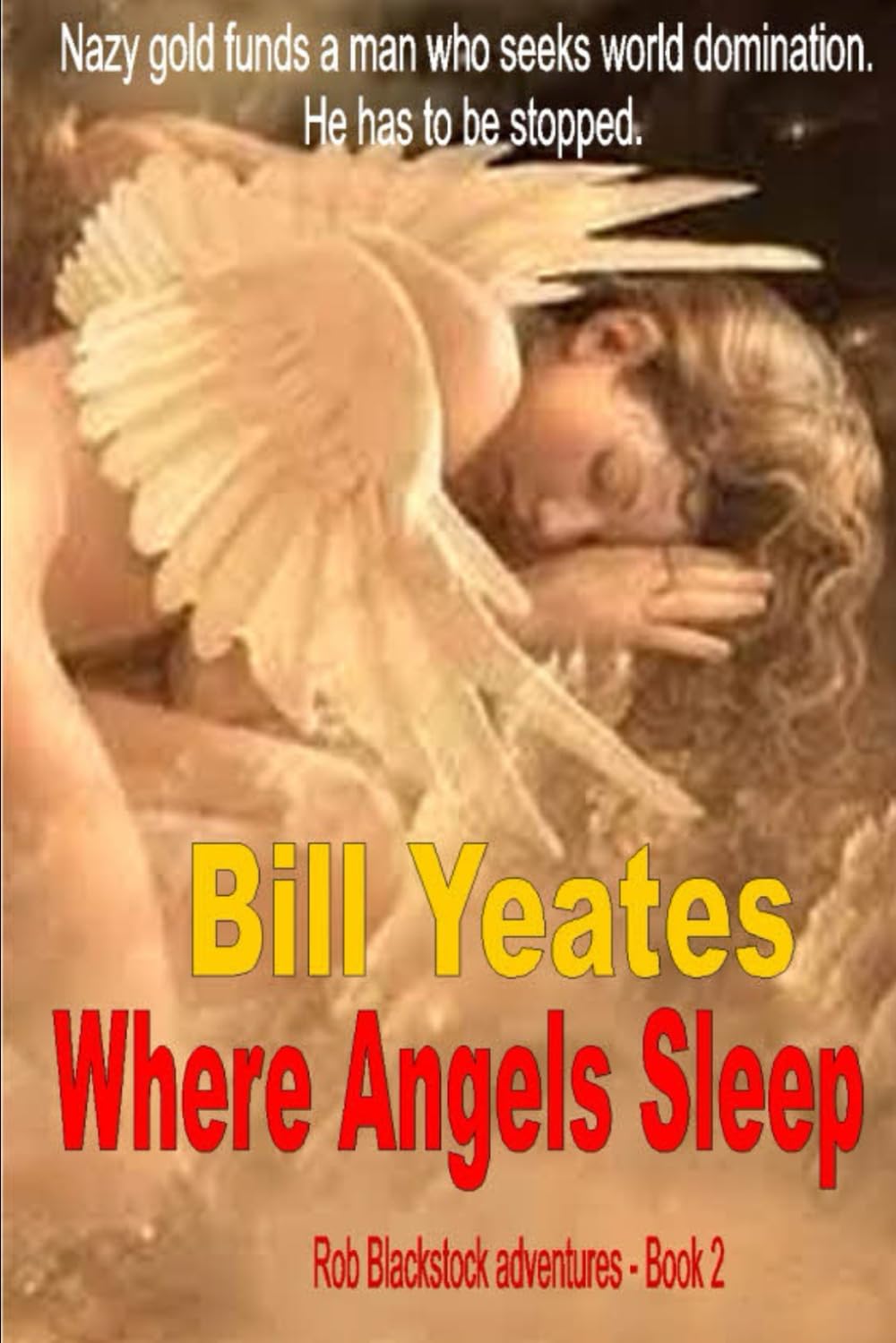 Where Angels Sleep (Rob Blackstock series)