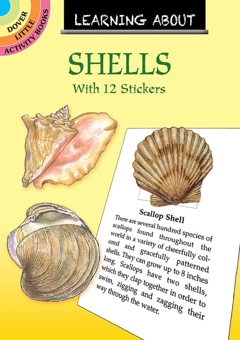 Learning About Shells