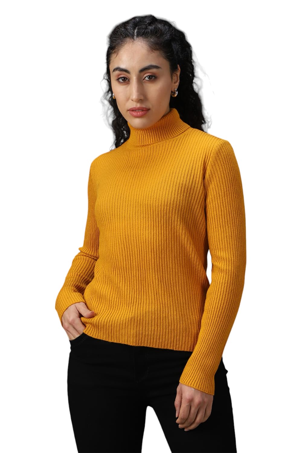 High Star Women Acrylic Knitted Regular fit Turtle Neck Full Sleeves Sweaters 42