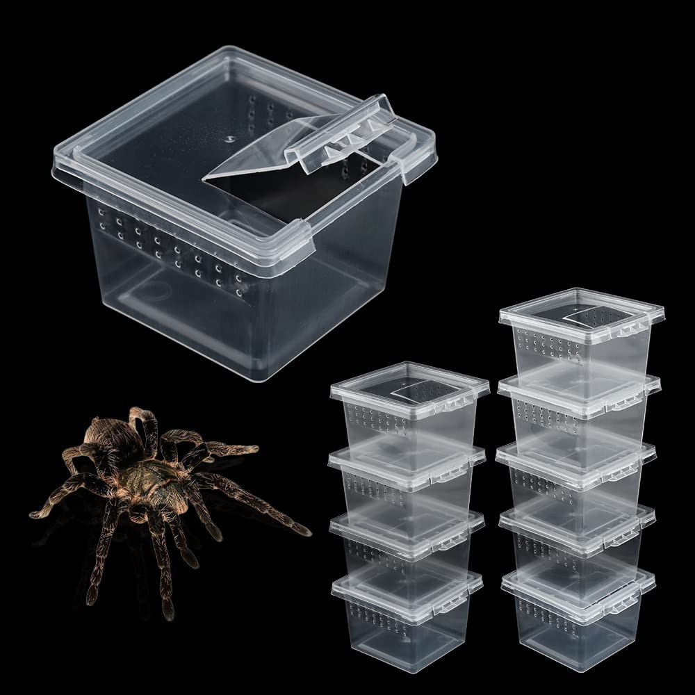 MAKINGTEC 10Pcs Reptile Breeding Box, Acrylic Transparent Feeding Case - Small Hatching Container with Lid for Small Reptile Spider Scorpion Gecko Centipede Insect Snake