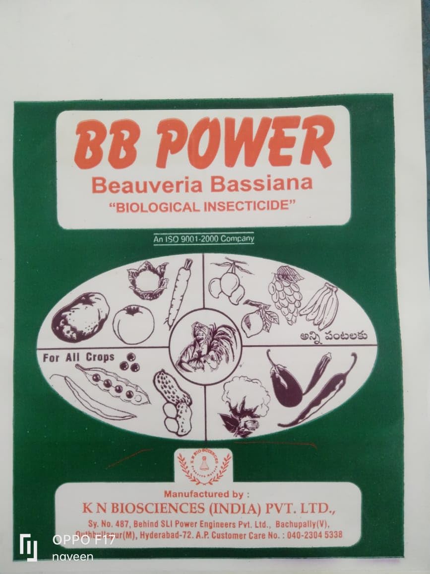 K N Biosciences BB Power Insect Control Beauveria bassiana Organic, Pack of 1Kg