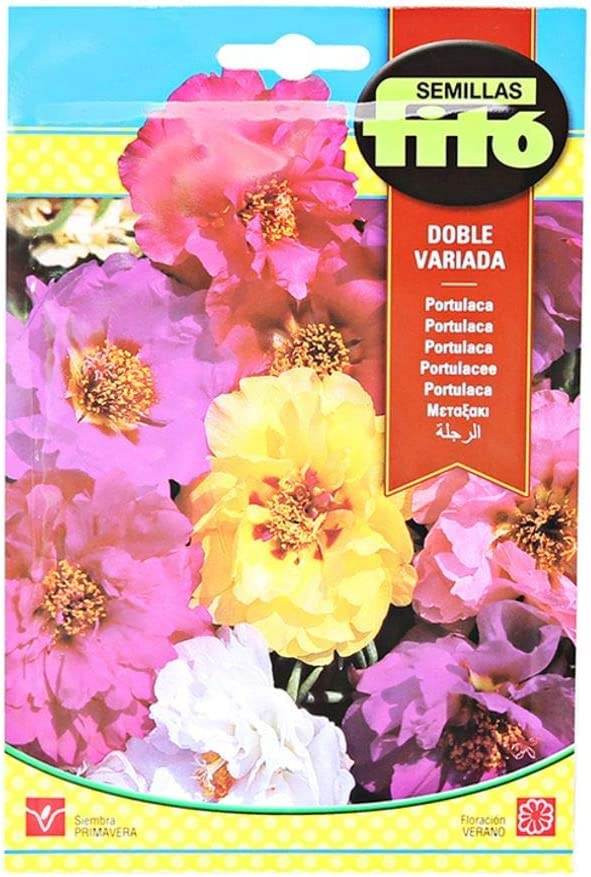 Fito Portulaca Double Mix Premium Quality Seeds 650mg (Made in Spain) by Semillas Fitó