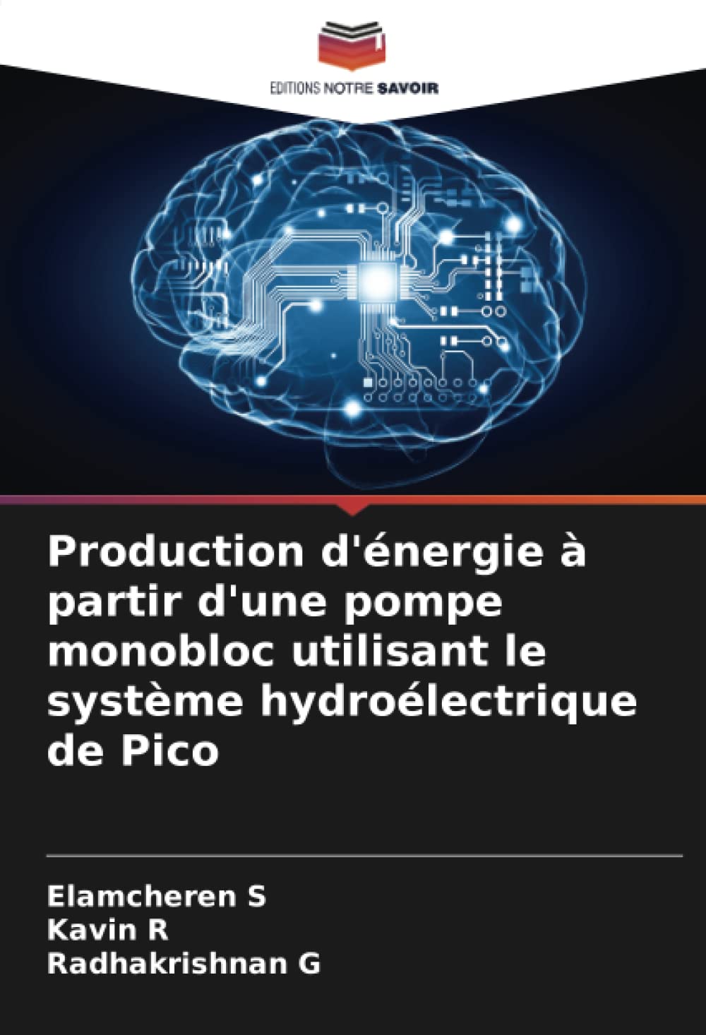 Production d'énergie à partir d'une pompe monobloc utilisant le système hydroélectrique de Pico