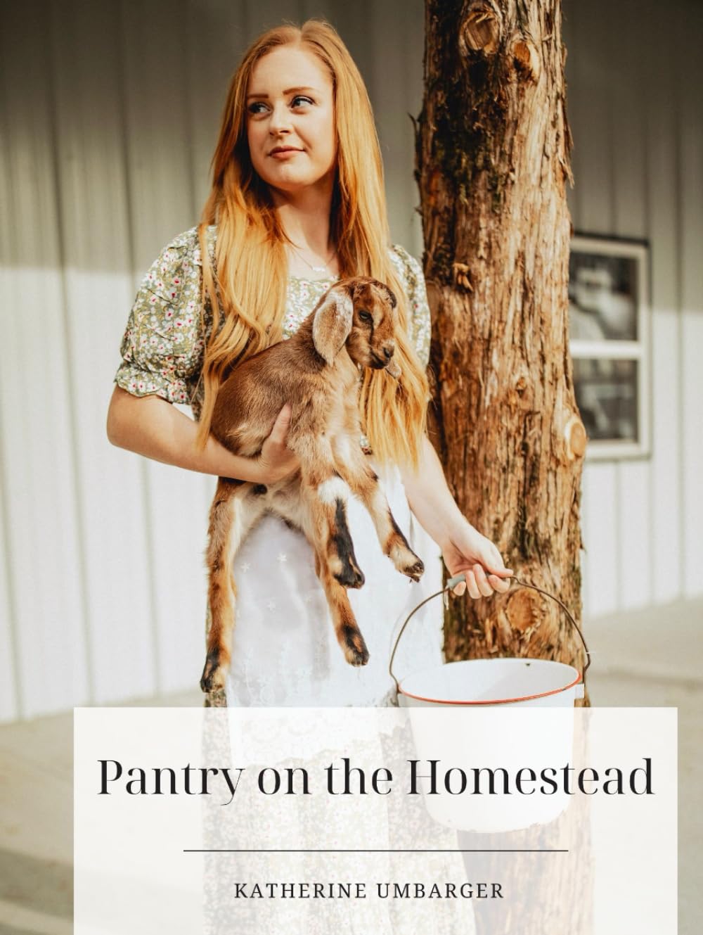 Pantry on the Homestead