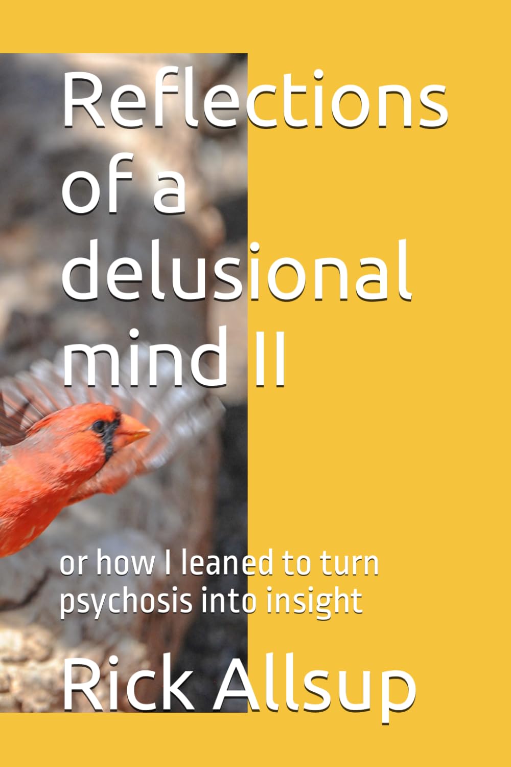 Reflections of a delusional mind II: or how I leaned to turn psychosis into insight