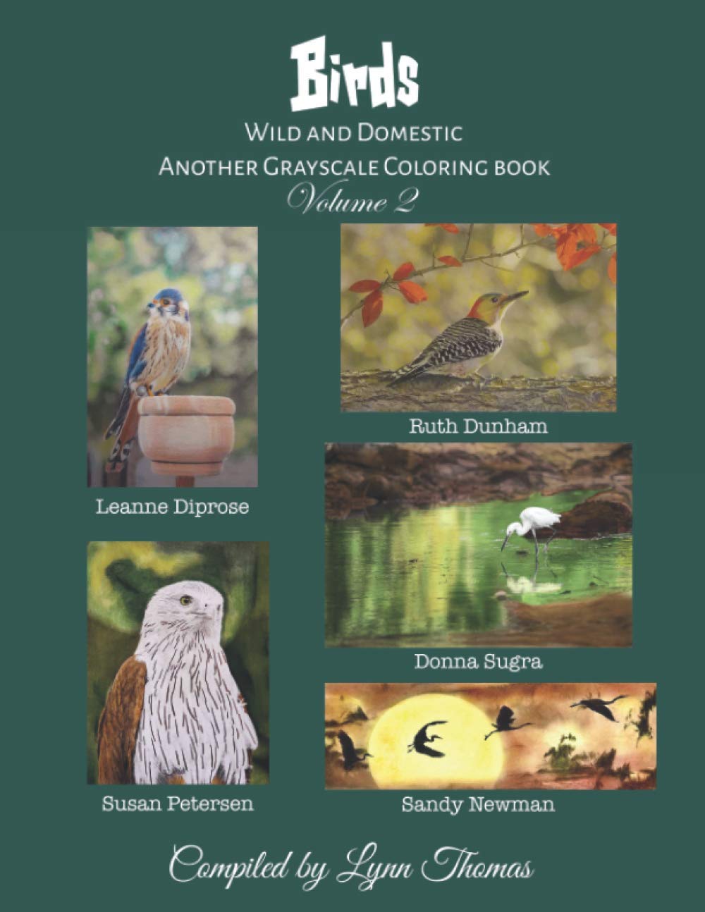 Birds-Wild and Domestic: Another Grayscale Coloring Book, Volume 2