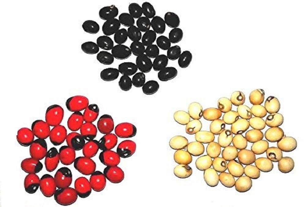 Aditya Handicraft {153 Pieces(51 Pcs Each)} Pure and Original Rare Chirmi Seeds Combo :Red Gunja Black Chirmi White Gurinvida Beads Ratti Gumchi Madhuyastika for Lakshmi Mahakali and Saraswati