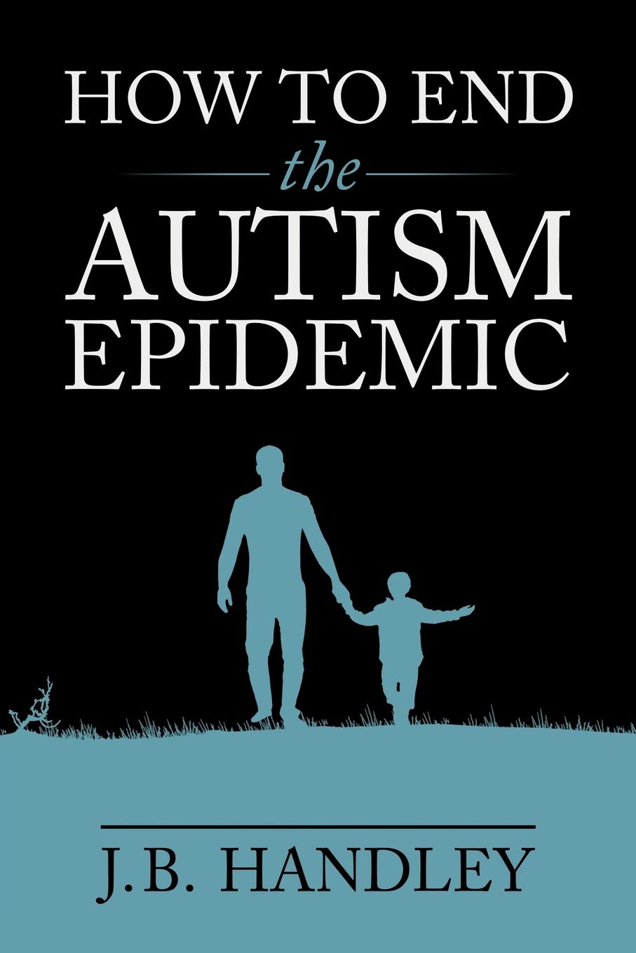 Chelsea Green Publishing Company How to End the Autism Epidemic