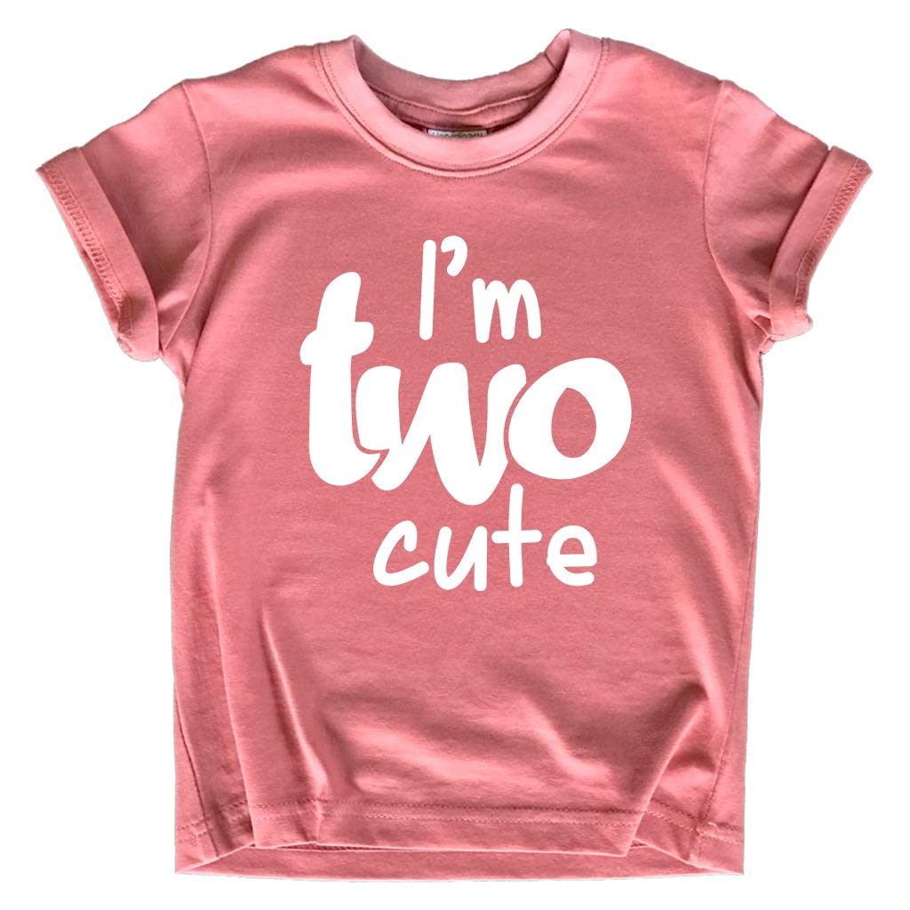 2nd birthday outfits for toddler girls im two cute shirt girl 2 years old second birthday