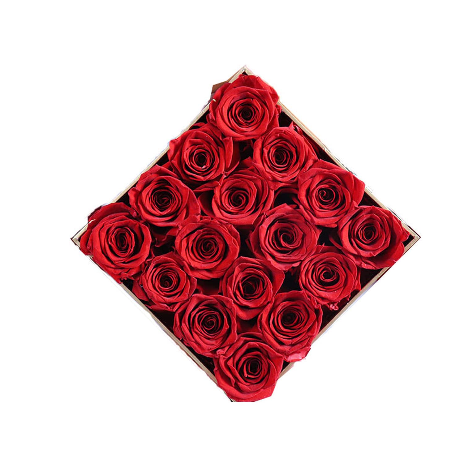 NW 1776 Preserved Red Roses in a Square Box, Artificial Flower?Forever Beautiful Roses Eternal Flowers, Valentine's Day?Birthday &Memorial Day Gift (16pcs,17 * 17 * 15cm)