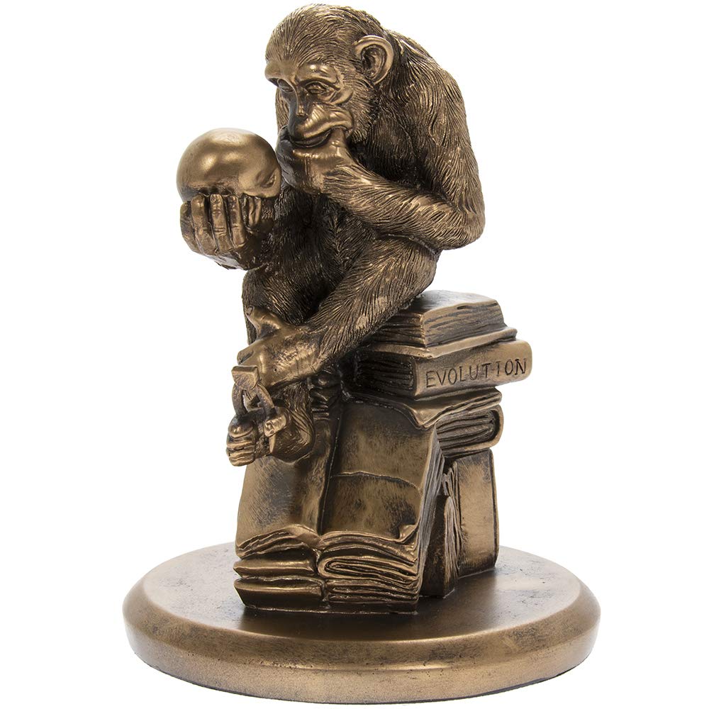 THORNE ANTIQUES AND COLLECTABLES Philosophising Monkey Holding Skull Bronze Resin Sculpture, Inspired by Wolfgang Hugo Rheinhold