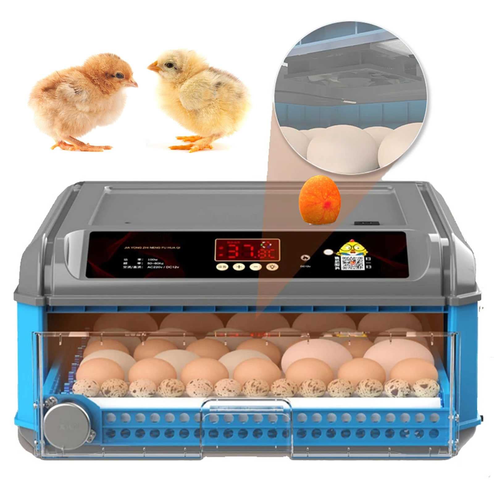 SXFuture Egg Incubator for Hatching Chicks, 9 in 1 Automatic 56 Eggs Incubators with Egg Candler, 12V/110V/220V Incubators Kit for Chickens, Duck, Quail, Goose Eggs