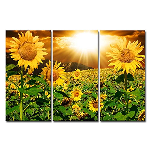 Canvas Print Wall Art Picture For Home Decor Bright Sunflower Yellow Sunshine 3 Pieces Paintings Modern Giclee Stretched And Framed Artwork The Flower Pictures Photo Prints On Canvas