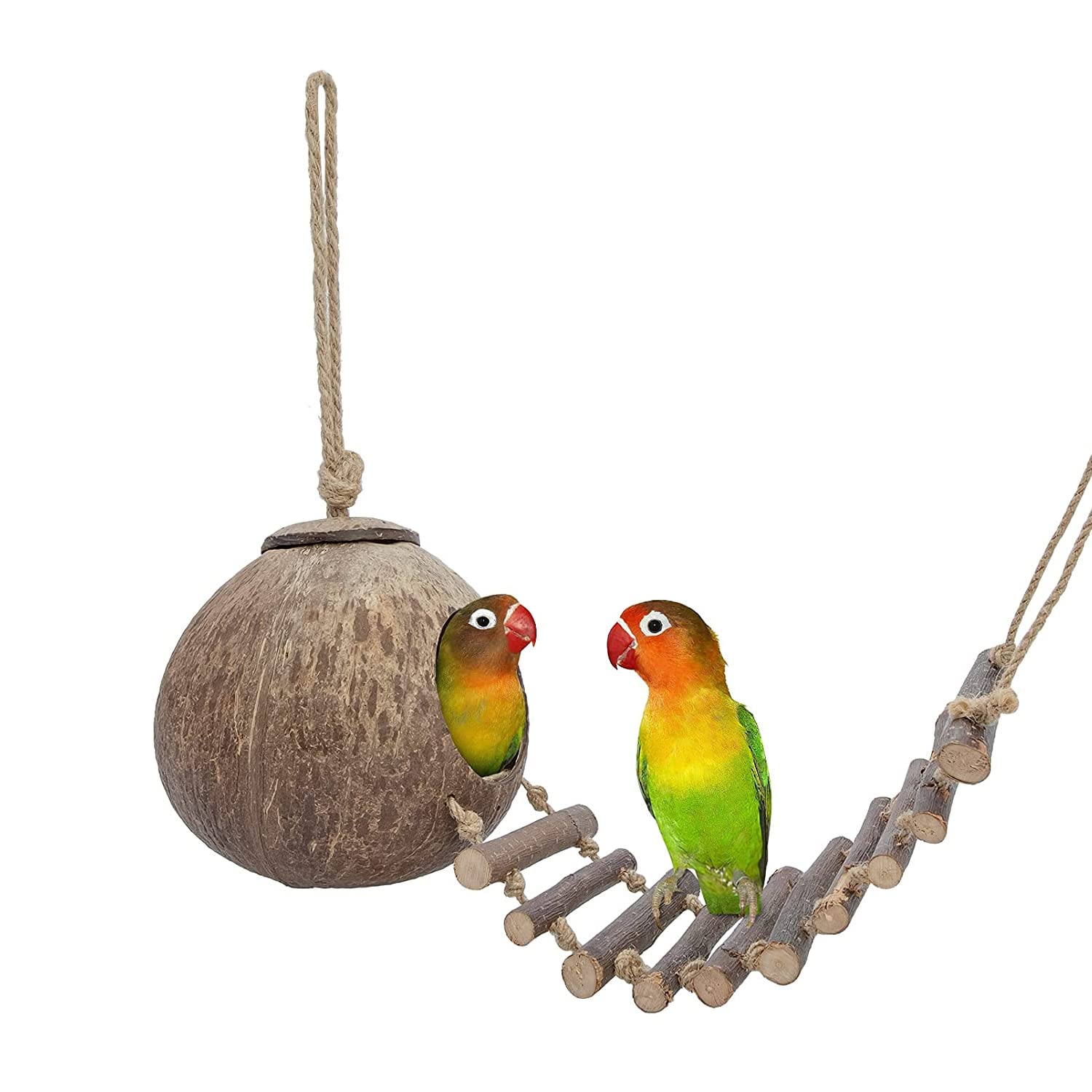 NeoStyle Coconut Bird Nest Hut with Ladder,parakeet nesting,bird house,bird ladder,bird cage accessories,for Parrots Parakeet Conures Cockatiel and other small animals