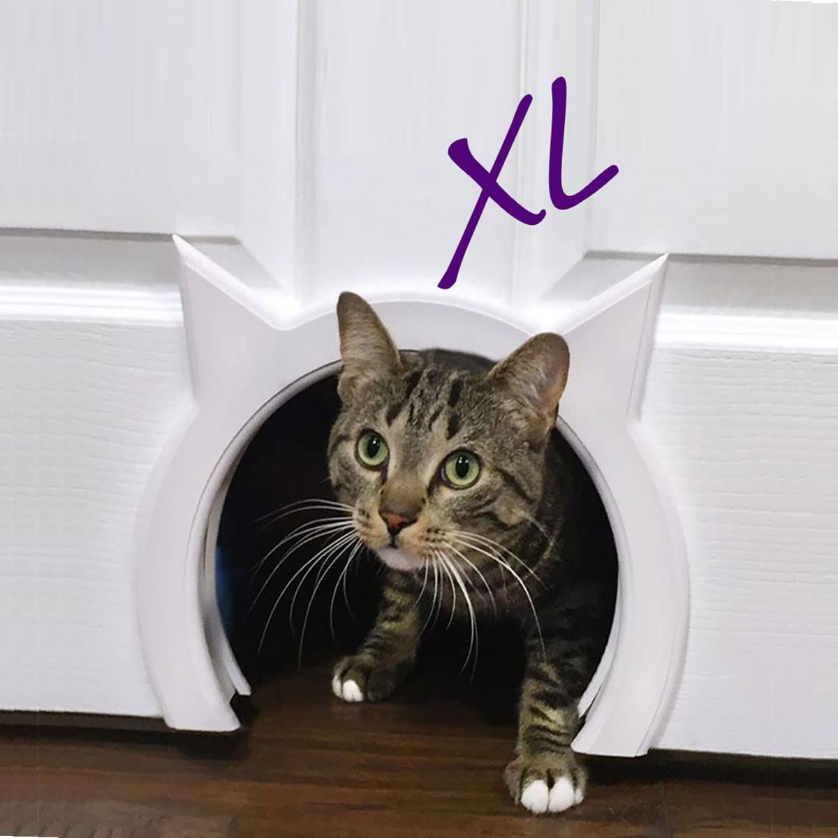 XL Cat Door for Interior Door - Cat Hole Kitty Door for Hidden Litter Box - Pet Door for Cats up to 30 lbs - Semi Gloss White Extra Large Cat Door Interior Door