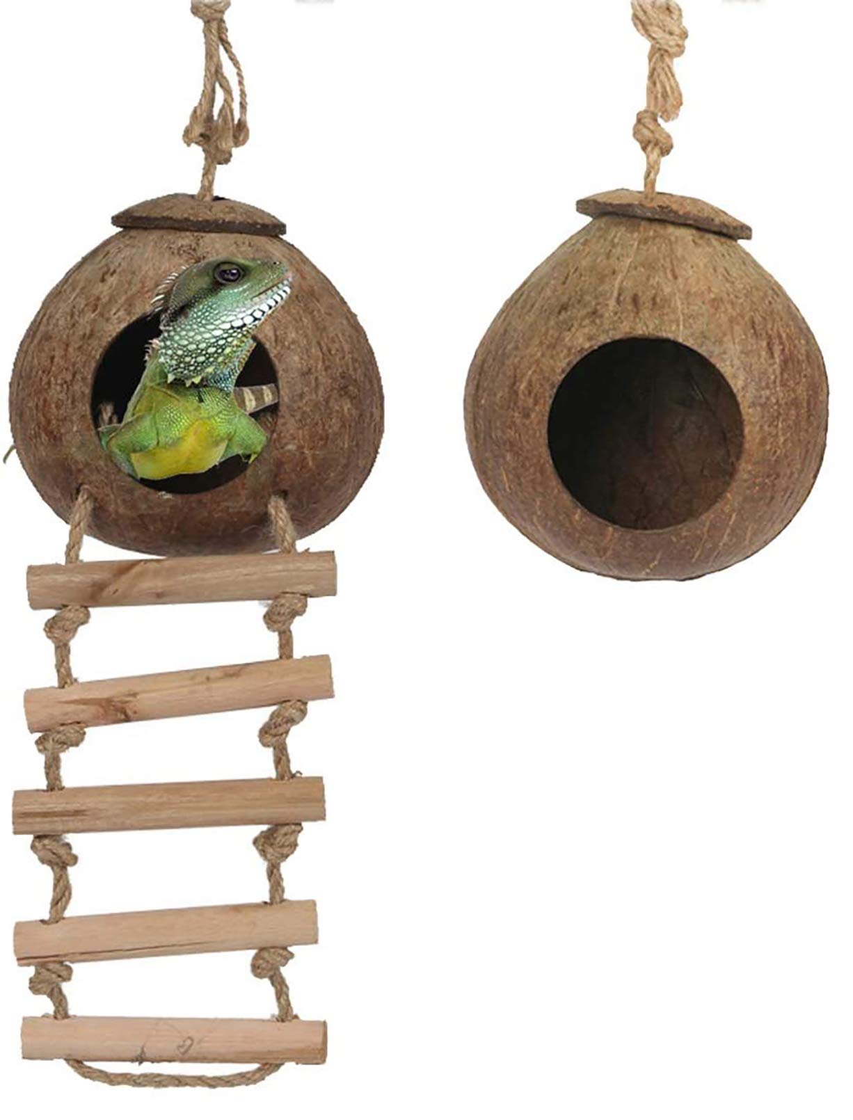 Yoicn Lth Natural Coconut Shell Gecko Nest House Reptile Hideouts Bed Cage Toy with Ladder Hanging Loop for Lizards Chameleon Gecko Snakes Small Animal 2 PCS