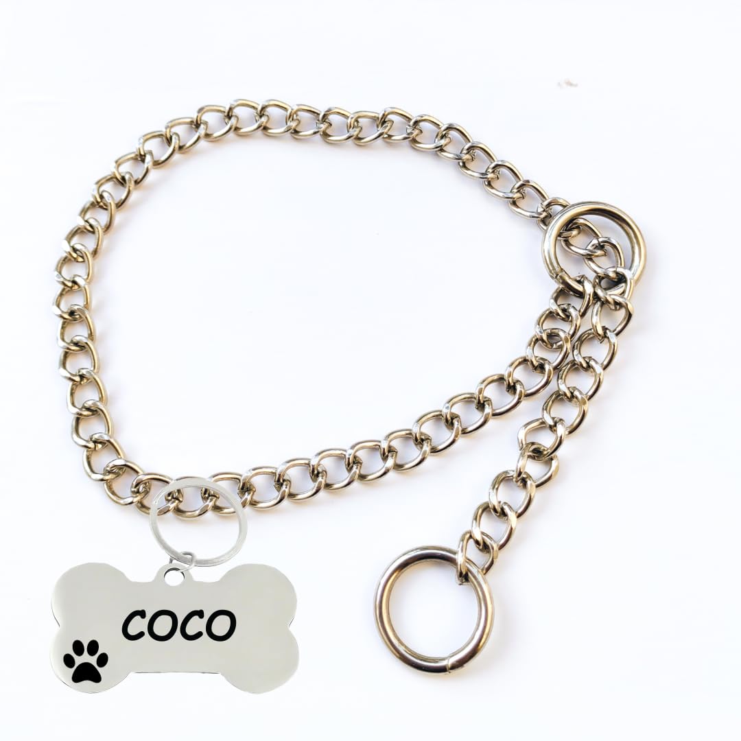 PAWPRO HANDMADEPAWPRO HANDMADE Diamond Cut Silver Dog Choke Chain Training Dog Collar for Cats, Puppies and Dogs with Customized Bone Shape Pet Id Tag (Small, Silver)