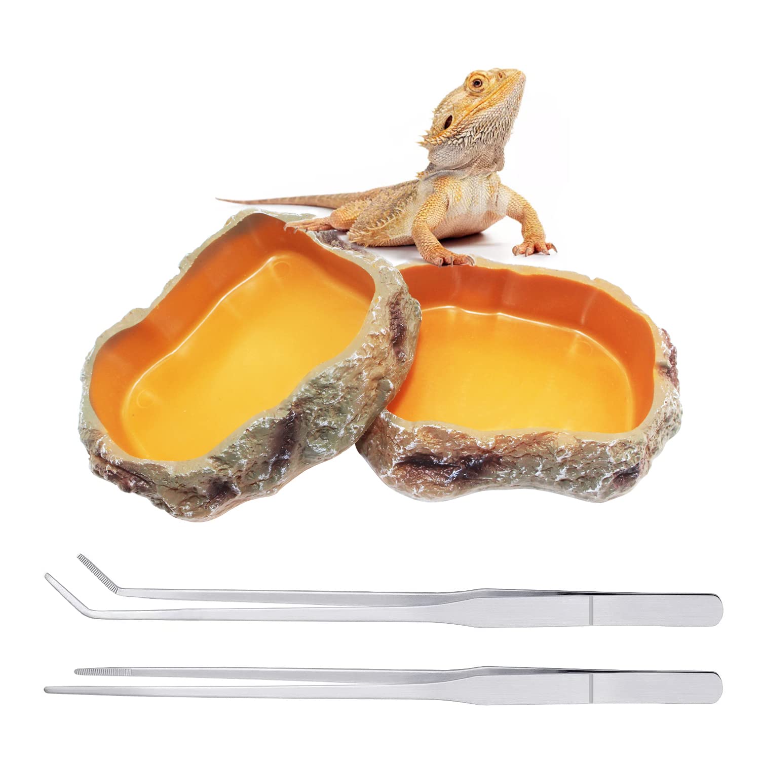 Reptile Growth 4 Pieces Reptile Water Dish Food Bowl Set Includes 2 Food Feeder Bowl Resin Reptile Bowl Water Bowl 2 Feeding Tweezer Tong for Pet Tortoise Lizard Frog Gecko Snake Chameleon