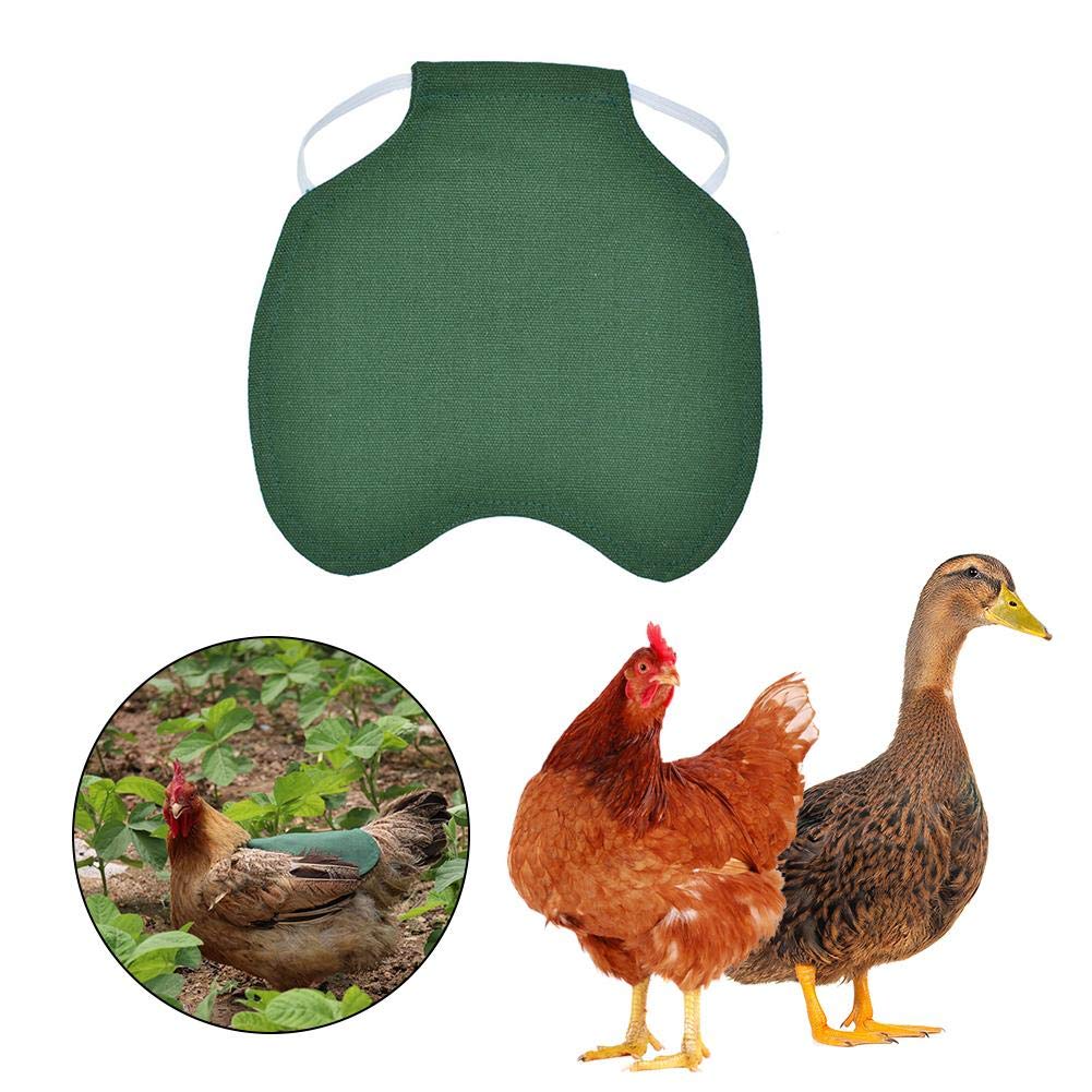 mementoy Poultry Jacket Poultry Vest Chicken Jacket Back Protectors For Poultry